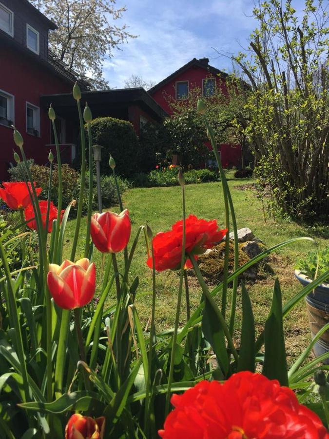 Ferienwohnung Auenthal Koditz Экстерьер фото
